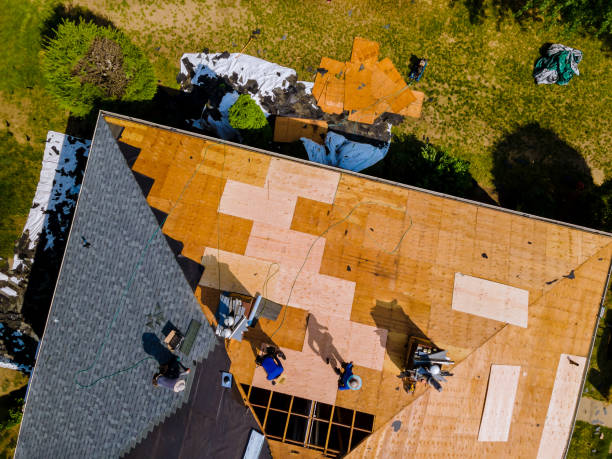 Roof Waterproofing Services in Rossville, TN