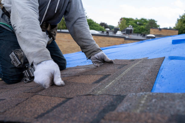 Best Best Roofing Contractors  in Rossville, TN